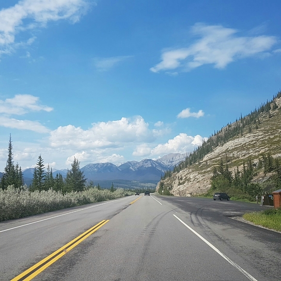 Meet your Posher, Posh - Picture 2 of 3